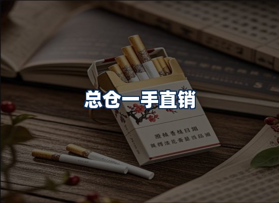 专业团队办公环境